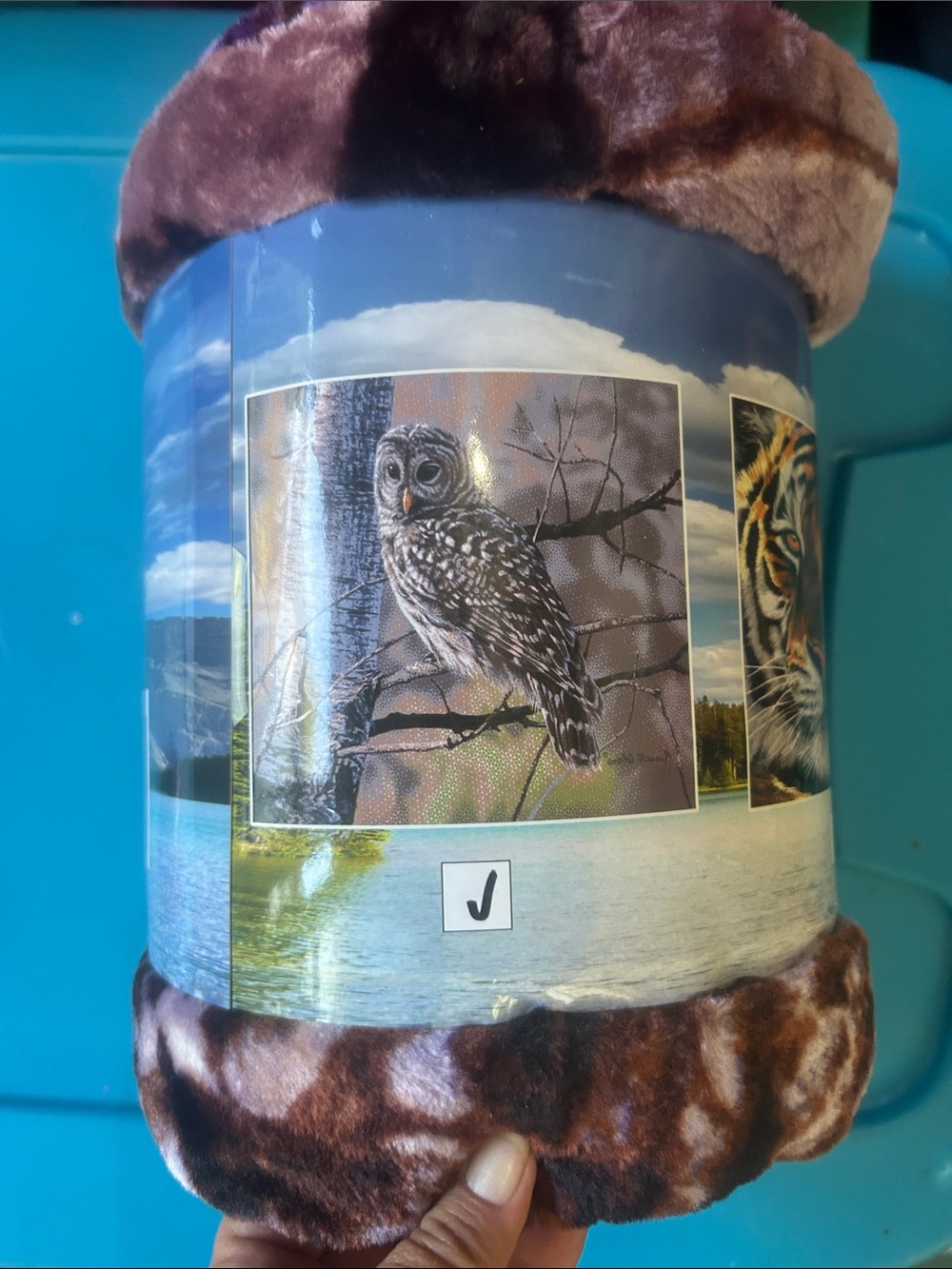 Owl 🦉 Wildlife Plush Throw Blanket in Brown -50x 60